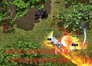 ��γ�Ϊ����˫ȫ��ů�У�������;��ǿ���Խ���