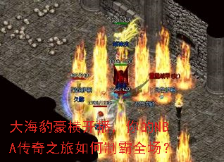 大海豹豪横开播,你的NBA传奇之旅如何制霸全场? 大海豹豪横开播,你的NBA传奇之旅如何制霸全场?