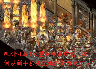 WLK怀旧服公益服最强攻略:如何从新手秒变艾泽拉斯传奇玩家? WLK怀旧服公益服最强攻略:如何从新手秒变艾泽拉斯传奇玩家?