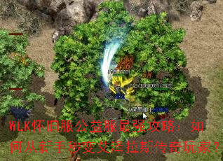 WLK���ɷ��������ǿ���ԣ���δ�������䰬����˹������ң�