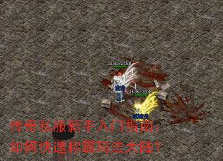 ����˽����������ָ�ϣ���ο��ٳư��귨��½��