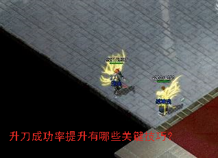 �����ɹ�����������Щ�ؼ����ɣ�