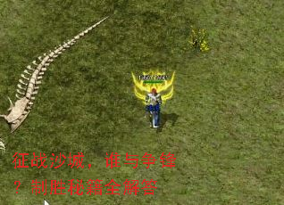 ��սɳ�ǣ�˭�����棿��ʤ�ؼ�ȫ���