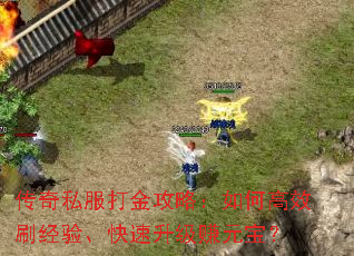 ����˽������ԣ���θ�Чˢ���顢��������׬Ԫ����