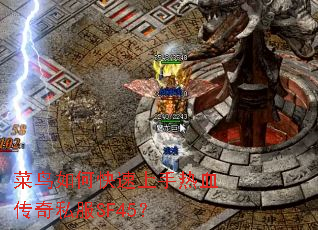 ������ο���������Ѫ����˽��SF45��