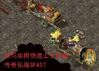 ������ο���������Ѫ����˽��SF45��