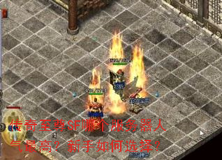 ��������SF�ĸ�������������ߣ��������ѡ��