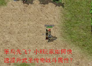 �����ȷɣ�СR�����ο���������ʥ����ս�����ԣ�