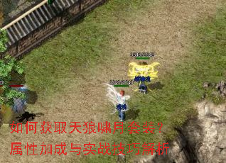 ��λ�ȡ����Х����װ�����Լӳ���ʵս���ɽ���