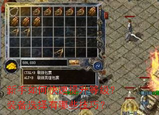 ������ο��������ȼ���װ��ѡ������Щ���ɣ�