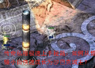 ����˽�����������ؼ�����δ��¶�С�׿��ٳɳ�Ϊɳ�Ϳ˳�����