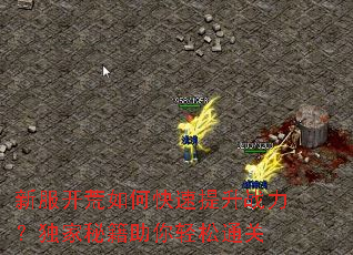 新服开荒如何快速提升战力?独家秘籍助你轻松通关 新服开荒如何快速提升战力?独家秘籍助你轻松通关