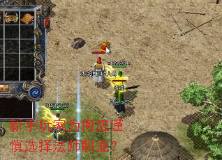 �������Ϊ��Ӧ����ѡ��ʦְҵ��