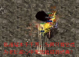 ˽���汾ǧǧ��Ϊ��ֻ������Ϊ����������޷���Խ�ľ��䣿