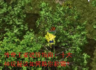 �������߽���ָ�ϣ�ʮ�����ؾ��������ưԣ�