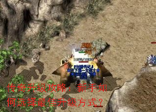 �����������ԣ��������ѡ�����������ʽ��