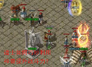 ��ʿ�������������������ս������