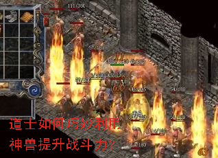 ��ʿ�������������������ս������