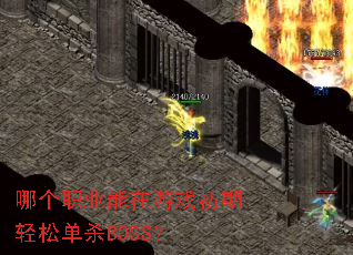 �ĸ�ְҵ������Ϸ�������ɵ�ɱBOSS��