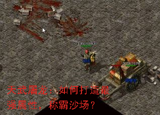 ������������δ�����ǿ���ԣ��ư�ɳ����