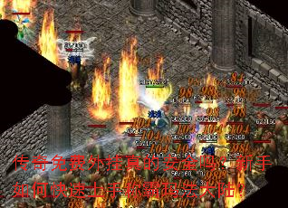 ������������İ�ȫ��������ο������ֳư��귨��½��