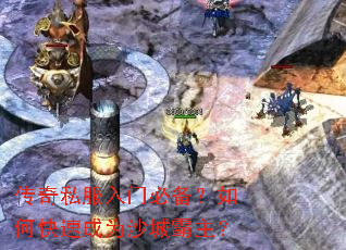 ����˽�����űر�����ο��ٳ�Ϊɳ�ǰ�����