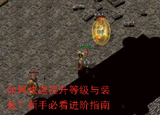 ��ο��������ȼ���װ�������ֱؿ�����ָ��