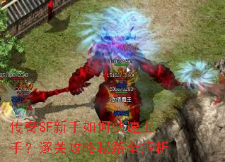 传奇SF新手如何快速上手?逐关攻略秘籍全解析 传奇SF新手如何快速上手?逐关攻略秘籍全解析