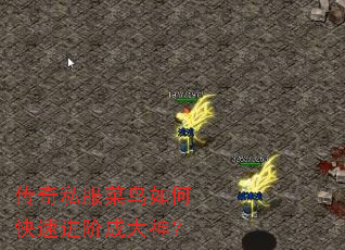 传奇私服菜鸟如何快速进阶成大神? 传奇私服菜鸟如何快速进阶成大神?