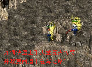 ��ο������ֻ������Ŵ��沢�����ʵ��ڲ��֮·��