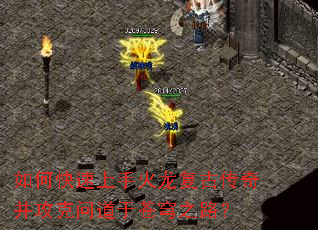 ��ο������ֻ������Ŵ��沢�����ʵ��ڲ��֮·��