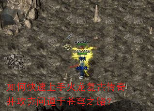 ��ο������ֻ������Ŵ��沢�����ʵ��ڲ��֮·��