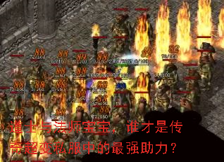 道士与法师宝宝,谁才是传奇超变私服中的最强助力? 道士与法师宝宝,谁才是传奇超变私服中的最强助力?