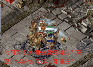 传奇新手如何快速烧猪洞?高效升级路线与技巧有哪些? 传奇新手如何快速烧猪洞?高效升级路线与技巧有哪些?