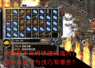 传奇新手如何快速烧猪洞?高效升级路线与技巧有哪些? 传奇新手如何快速烧猪洞?高效升级路线与技巧有哪些?